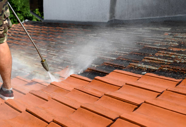 Best Concrete Pressure Washing  in Hermitage, PA